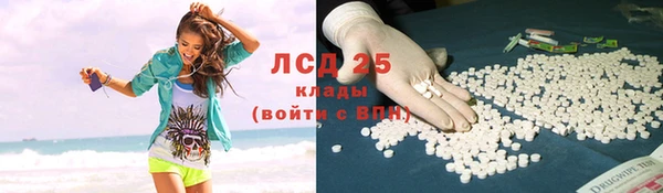 ГАЛЛЮЦИНОГЕННЫЕ ГРИБЫ Лабытнанги