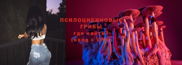 тгк Лагань