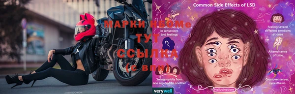 ГАЛЛЮЦИНОГЕННЫЕ ГРИБЫ Лабытнанги